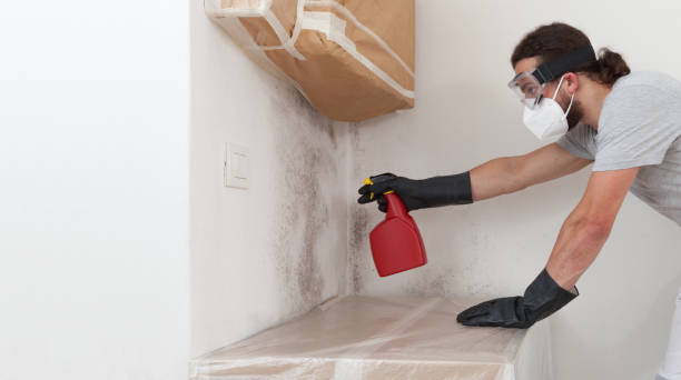 Professional Crawl Space Mold Remediation technician working in Newton, NC