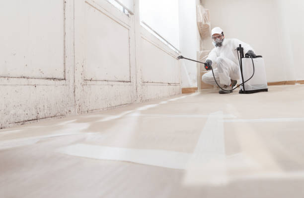 24/7 Emergency Crawl Space Mold Remediation experts in Newton, NC