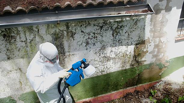 Top rated local Crawl Space Mold Remediation specialists in Newton, NC